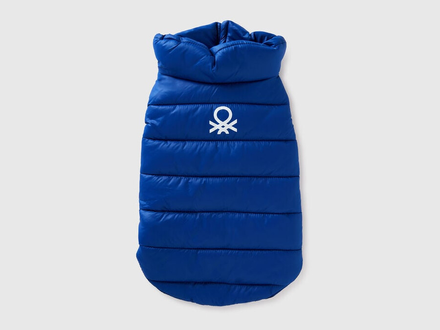 cornflower blue padded jacket for dogs