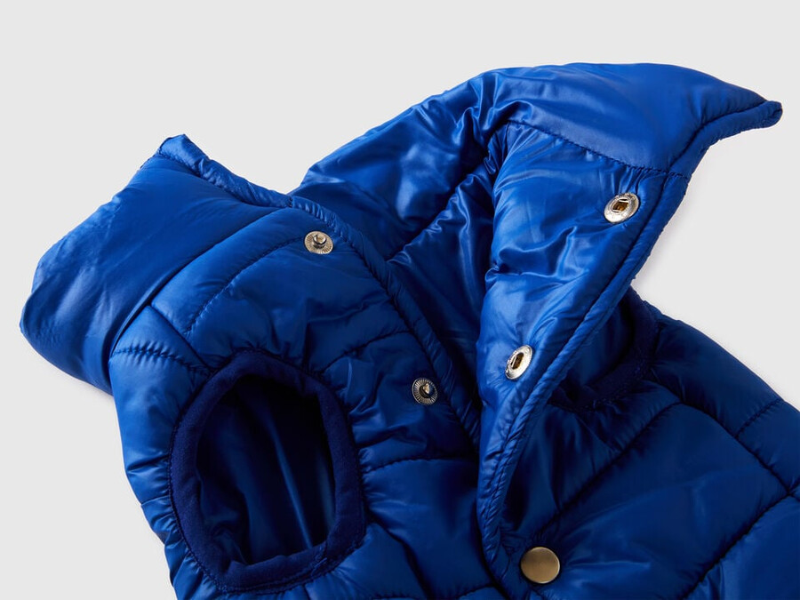 cornflower blue padded jacket for dogs