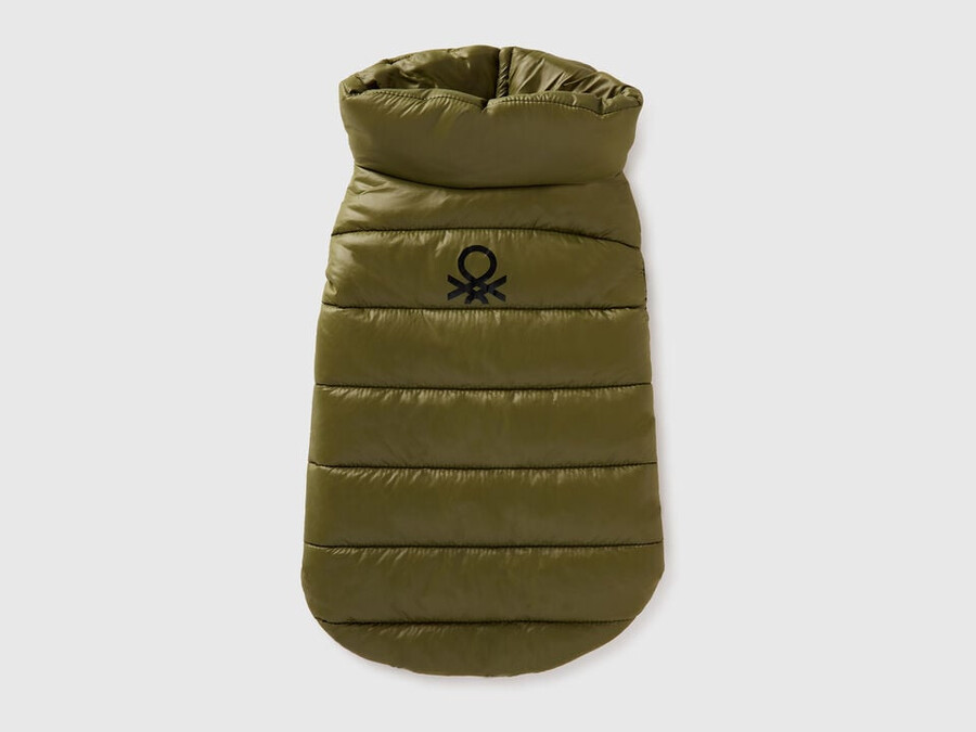 green padded jacket for dogs