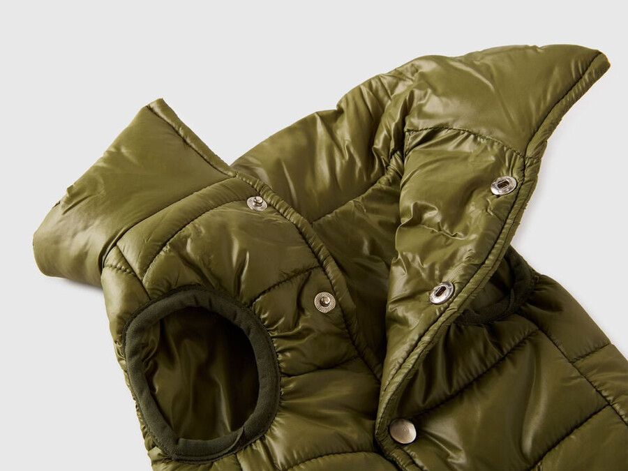 green padded jacket for dogs