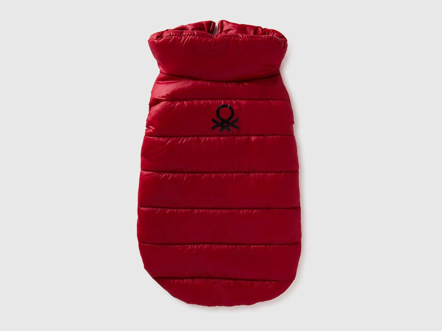 strawberry red padded jacket for dogs