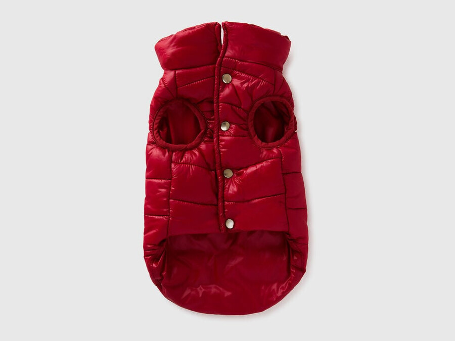 strawberry red padded jacket for dogs